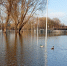 Снижение уровня воды в Хопре составило 6 см за сутки - Balashover.Ru